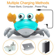 Rechargeable Escape Crab/Octopus